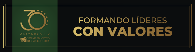 Licenciatura Ejecutiva